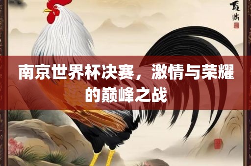 南京世界杯决赛，激情与荣耀的巅峰之战