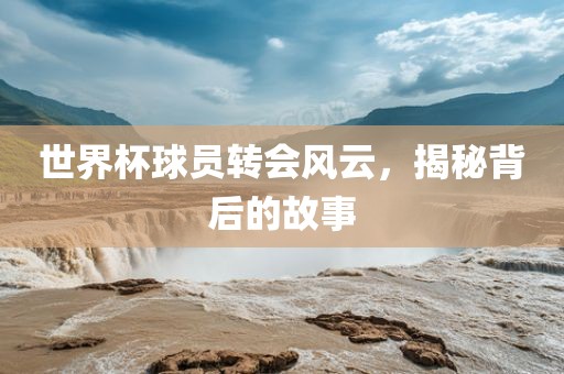 世界杯球员转会风云，揭秘背后的故事眉山市正发家政服务有限公司