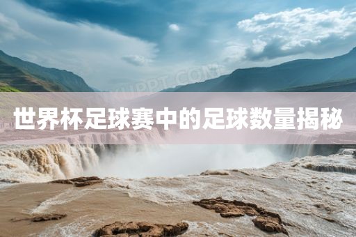 世界杯足球赛中的足球数量揭秘