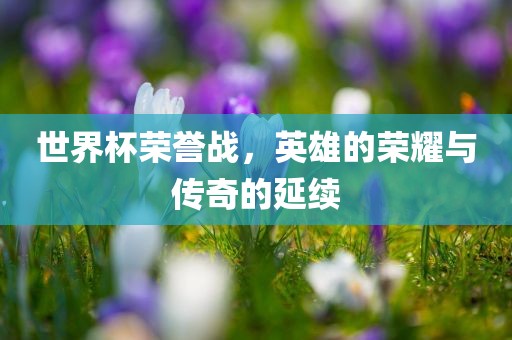 世界杯荣誉战，英雄的荣耀与传奇的延续