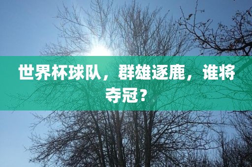 世界杯球队，群雄逐鹿，谁将夺冠眉山市正发家政服务有限公司？