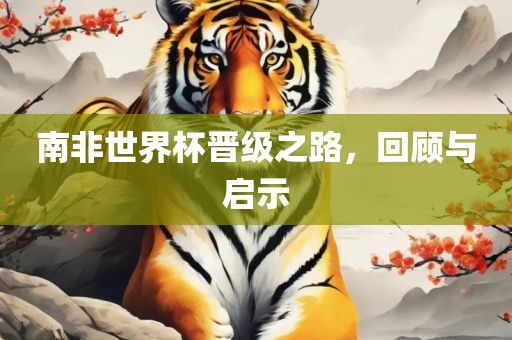 南非世界杯晋级之路，回顾与启示