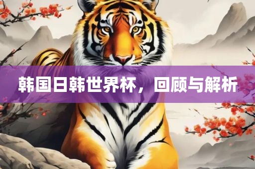 韩国日韩世界杯，回顾与解析