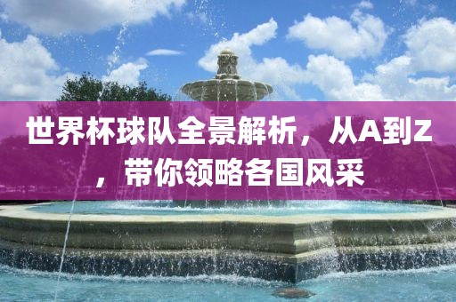 世界杯球队全景解析眉山市正发家政服务有限公司，从A到Z，带你领略各国风采