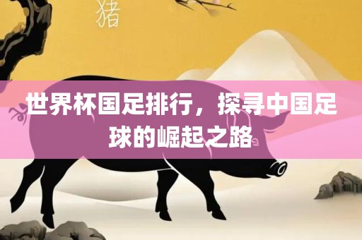 世界杯国足排行，探寻中国足球的崛起之路
