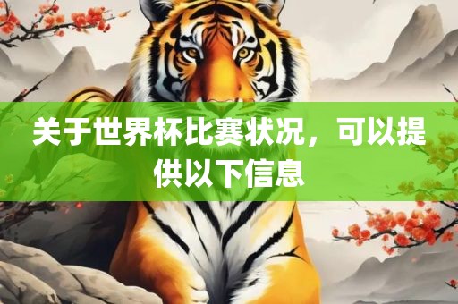 关于世界杯比赛状况，可以提供以下信息