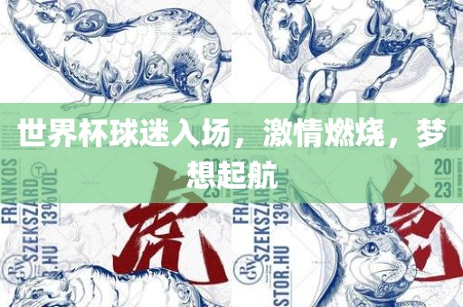 世界杯球迷入场，激情燃烧，梦想起航