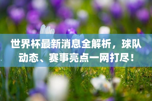 世界杯最新消息全解析，球队动态、赛事亮点一网打尽！