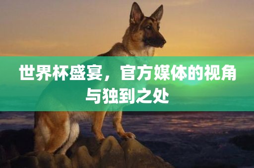 世界杯盛宴，官方媒体的视角与独到之处