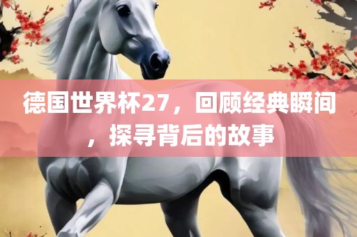 德国世界杯27，回顾经典瞬间，探寻背后的故事