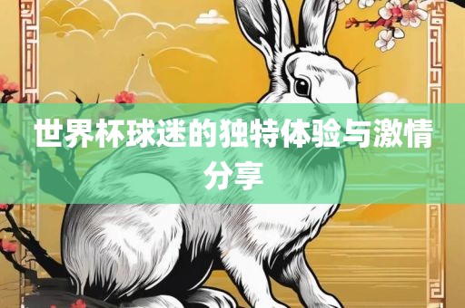 世界杯球迷的独特体验与激情分享