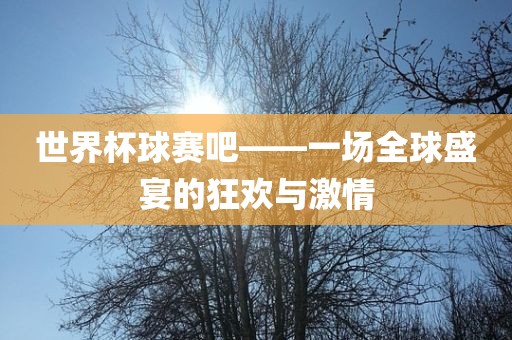世界杯球赛吧——一场全球盛宴的狂欢与激情