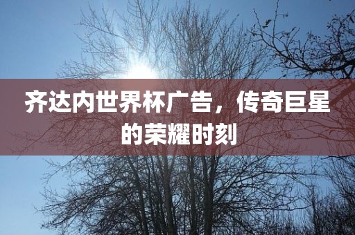 齐达内世界杯广告，传奇巨星的荣耀时刻