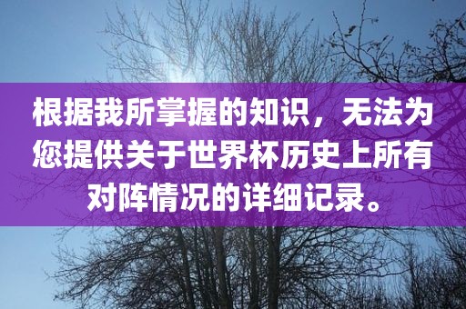 根据我所掌握的知识，无法为您提供关于世界杯历史上所有对阵情况的详细记录。