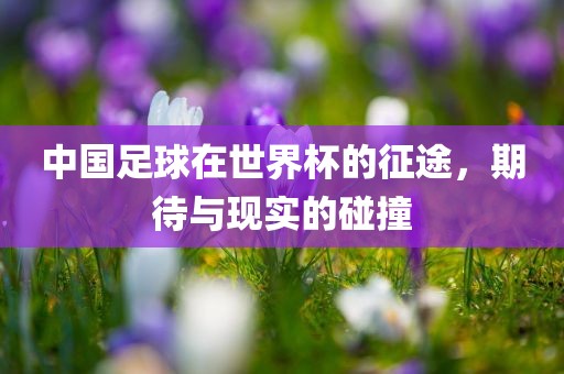 中国足球在世界杯的征途，期待与现实的碰撞