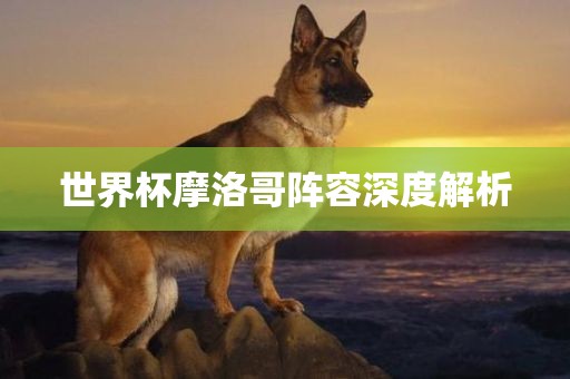 世界杯摩洛哥阵容深度解析