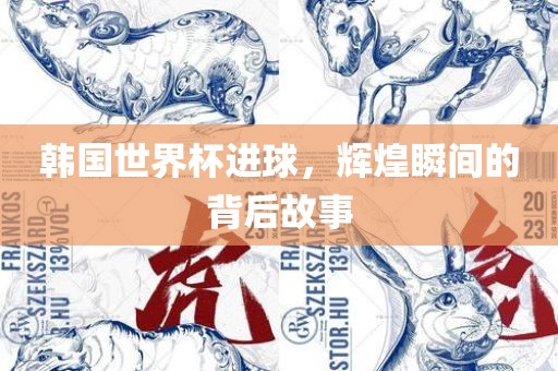 韩国世界杯进球，辉煌瞬间的背后故事