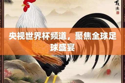 央视世界杯频道，聚焦全球足球盛宴