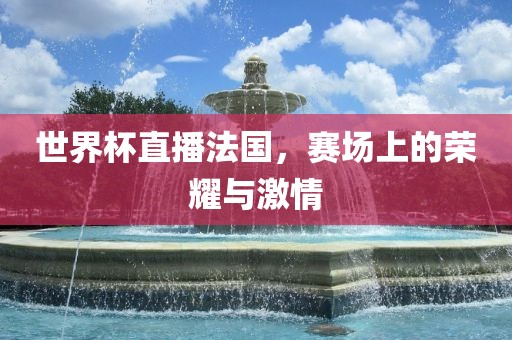 世界杯直播法国，赛场上的荣耀与激情