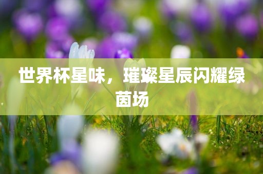 世界杯星味，璀璨星辰闪耀绿茵场