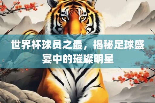 世界杯球员之最，揭秘足球盛宴中的璀璨明星