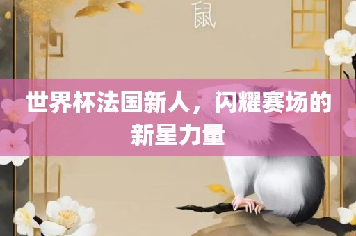 世界杯法国新人，闪耀赛场的新星力量眉山市正发家政服务有限公司