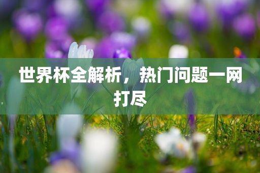 世界杯全解析，热门问题一网打尽