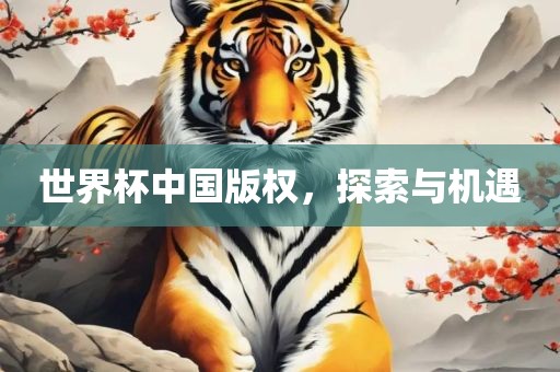 世界杯中国版权，探索与机遇