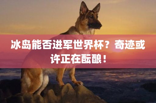 冰岛能否进军世界杯？奇迹或许正在酝酿！
