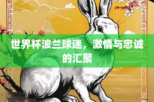 世界杯波兰球迷，激情与忠诚的汇聚
