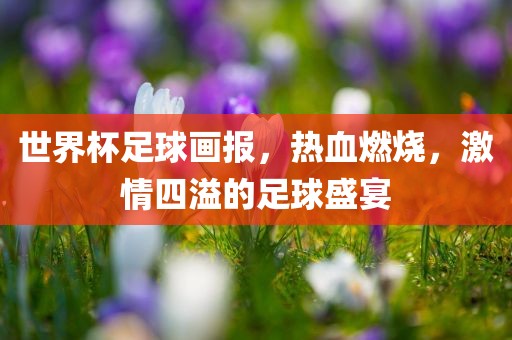 世界杯足球画报，热血燃烧，激情四溢的足球盛宴
