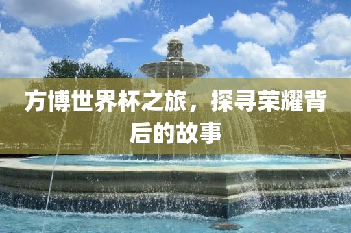 方博世界杯之旅，探寻荣耀背后的故事