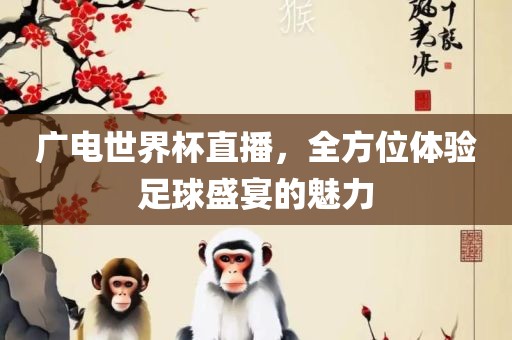 广电世界杯直播，全方位体验足球盛宴的魅力