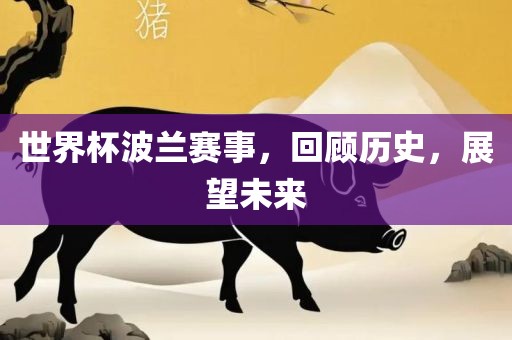 世界杯波兰赛事，回顾历史，展望未来