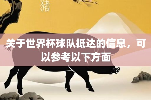 关于世界杯球队抵达的信息，可以参考以下方面