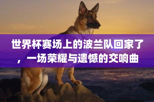 世界杯赛场上的波兰队回家了，一场荣耀与遗憾的交响曲