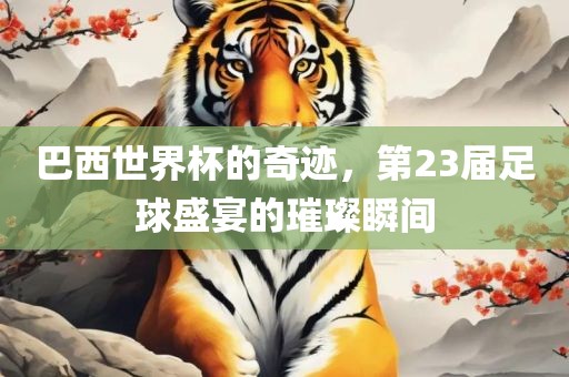 巴西世界杯的奇迹，第23届足球盛宴的璀璨瞬间