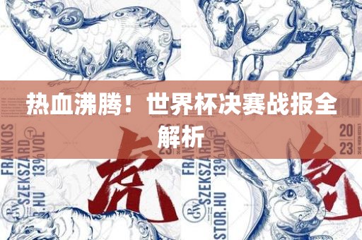 热血沸腾！世界杯决赛战报全解析