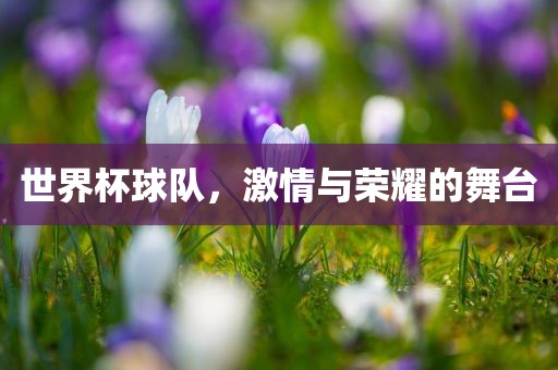 世界杯球队，激情与荣耀的舞台眉山市正发家政服务有限公司