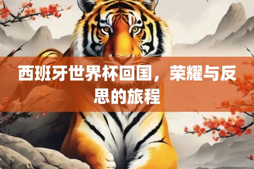 西班牙世界杯回国，荣耀与反思的旅程眉山市正发家政服务有限公司