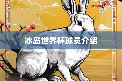 介绍