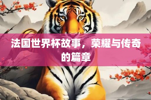 法国世界杯故事，荣耀与传奇的篇章