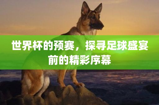 世界杯的预赛，探寻足球盛宴前的精彩序幕