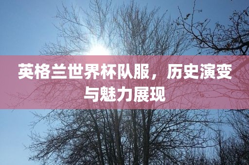 英格兰世界杯队服，历史演变与魅力展现