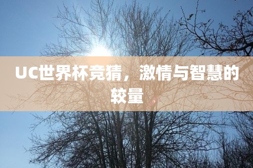 UC世界杯竞猜，激情与智慧的较量