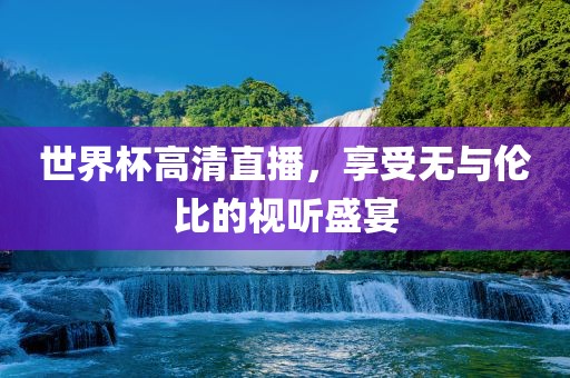 世界杯高清直播，享受无与伦比的视听盛宴眉山市正发家政服务有限公司