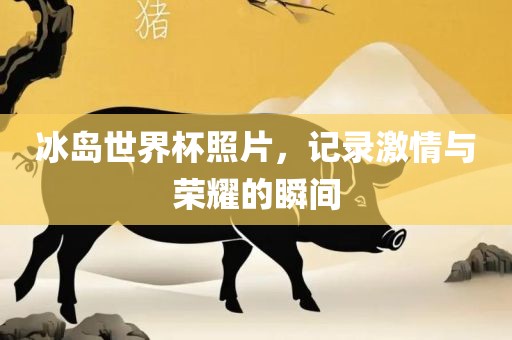 冰岛世界杯照片，记录激情与荣耀的瞬间