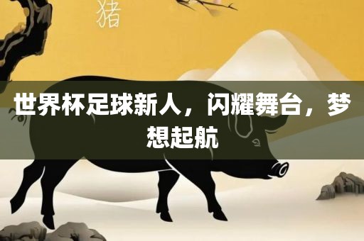 世界杯足球新人，闪耀舞台，梦想起航