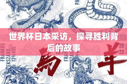 世界杯日本采访，探寻胜利背后的故事