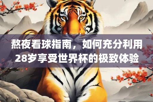 熬夜看球指南，如何充分利用28岁享受世界杯的极致体验